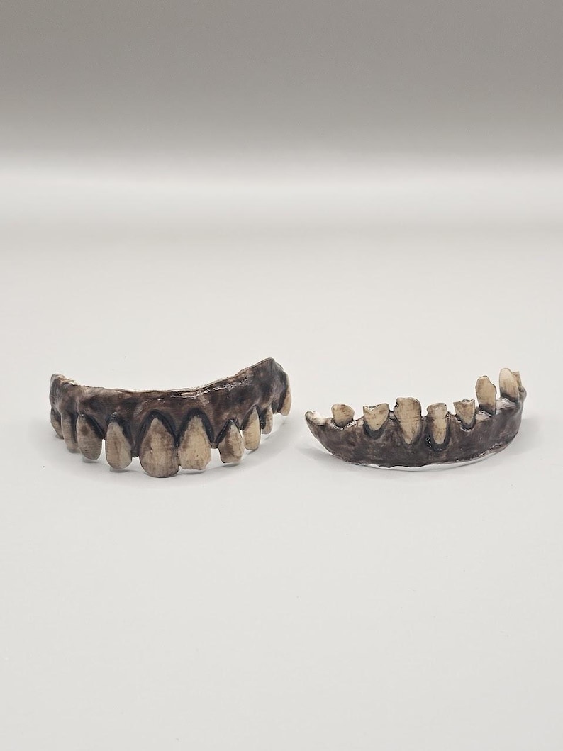 May include: Two sets of artificial teeth featuring a dark, weathered gum line and off-white, stained, and unevenly shaped teeth. The upper and lower dental arches are displayed separately, showing a worn, aged appearance with realistic textures.