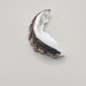 May include: A dental grillz piece featuring a dark, metallic finish on the exterior surface and a smooth, white interior mold. The curved, segmented design follows the shape of a row of teeth, showcasing a distinct contrast between the dark outer metal and the bright white inner lining.