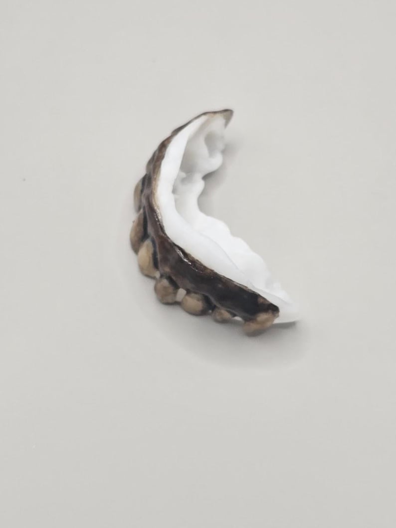 May include: A dental grillz piece featuring a dark, metallic finish on the exterior surface and a smooth, white interior mold. The curved, segmented design follows the shape of a row of teeth, showcasing a distinct contrast between the dark outer metal and the bright white inner lining.