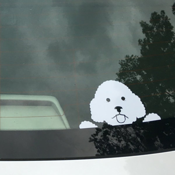 Peeking Bichon Frise vinyl decal window sticker