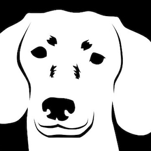 Peeking Dachshund Doxie vinyl decal window sticker