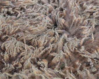 Raw Shetland Sheep Whole Fleece 1kg Approx
