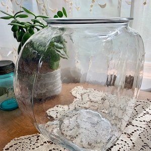 Unusual fish bowls hot sale
