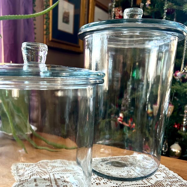 Grands pots d'apothicaire présentoir de comptoir tendance pot-pourri shabby chic d'inspiration vintage bidons décoratifs en verre épais pour terrarium