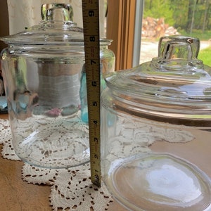 Large Apothecary Jars Trendy Counter Display Shabby Chic Potpourri Vintage Inspired Storage Decorative Heavy Glass Terrarium Canisters image 3