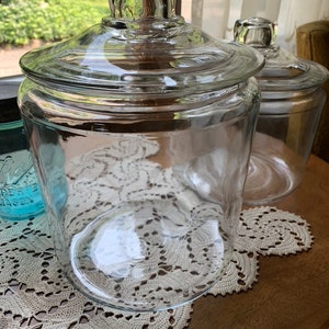 Large Apothecary Jars Trendy Counter Display Shabby Chic Potpourri Vintage Inspired Storage Decorative Heavy Glass Terrarium Canisters 1 Gallon fl oz