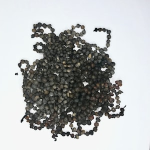 May include: A long strand of dark amber beads, with a slightly translucent, cloudy appearance. The beads are strung on a black cord and are piled in a heap on a white surface.