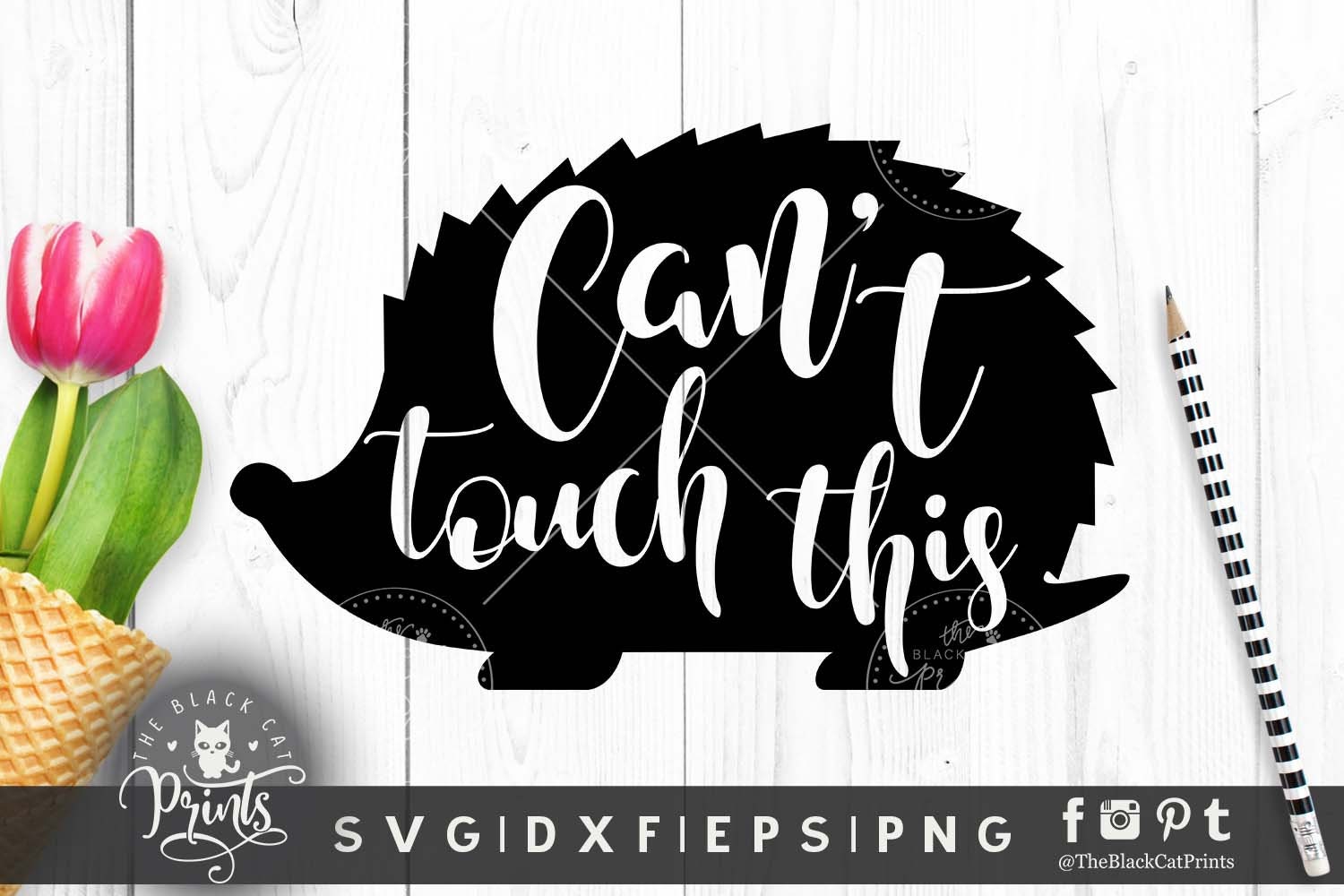 Download Funny SVG design for cut Svg file Hedgehog svg cutting ...