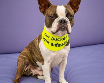 Dog Bandana with Warning | Do Not Touch Dog | Statement Dog Bandana Adjustable