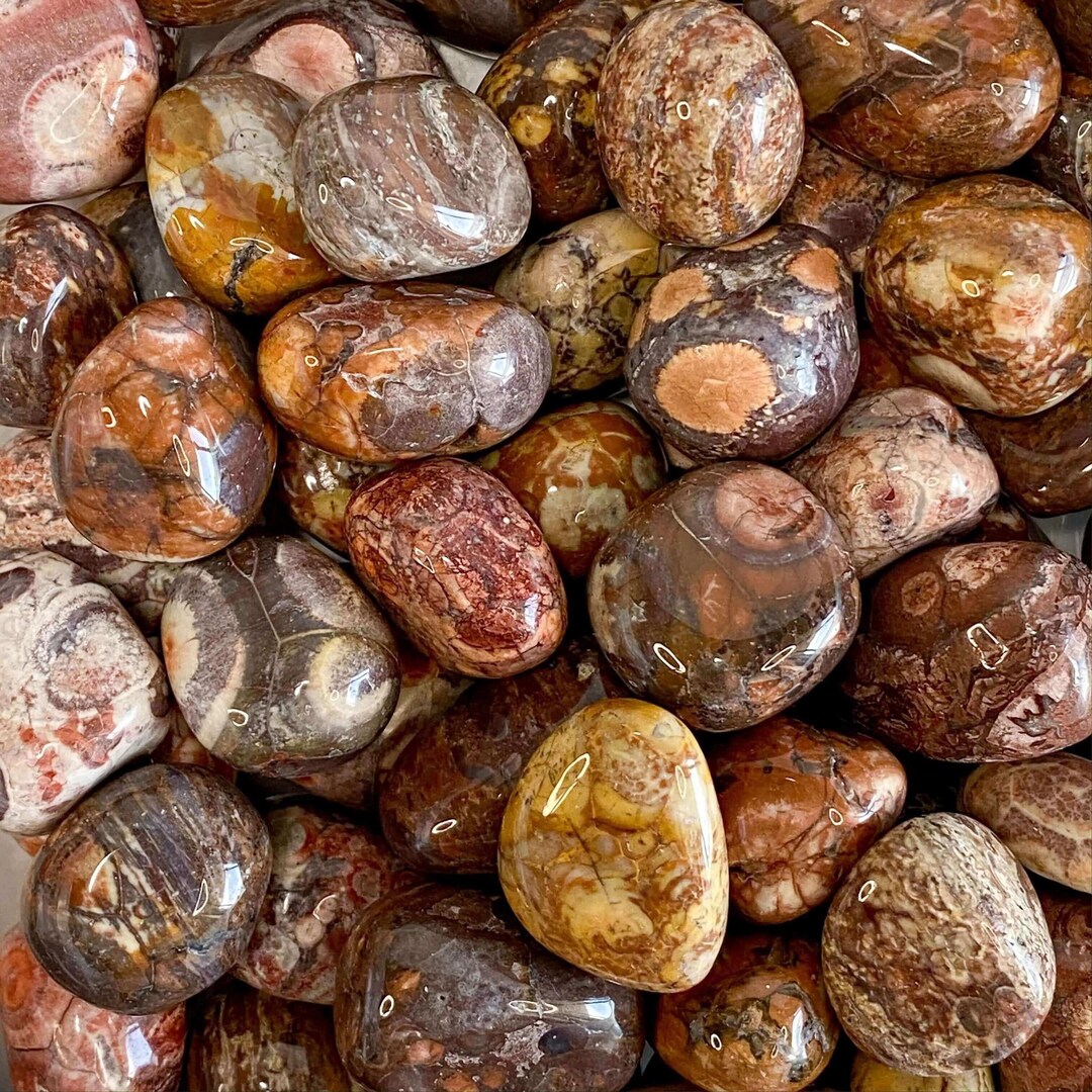 Bird’s Eye Rhyolite Tumbles - Etsy