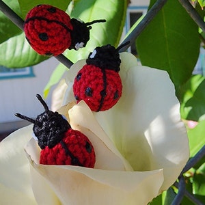 May include: Three handmade crochet ladybugs with red bodies and black spots and heads. The ladybugs are perched on a large white flower and a metal trellis. The ladybugs have black antennae.