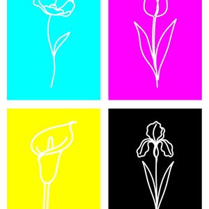May include: Four squares with a white line drawing of a flower on each. A poppy on a blue square, a tulip on a pink square, a calla lily on a yellow square, and an iris on a black square. A floral art print.