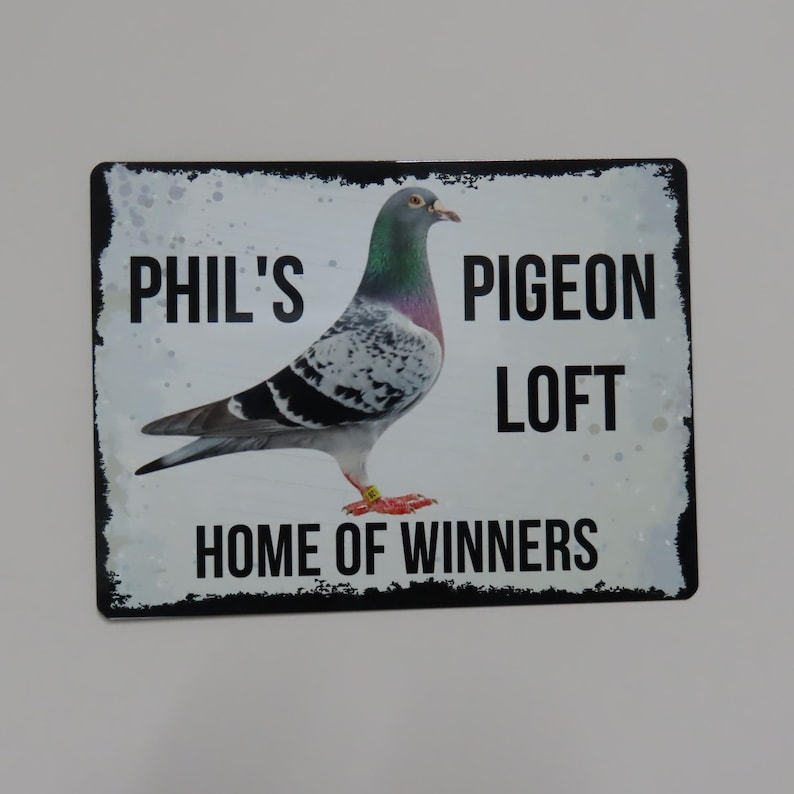 May include: A white metal sign with black text and a black border. The sign says "Phil's Pigeon Loft Home of Winners" and features a photo of a racing pigeon.
