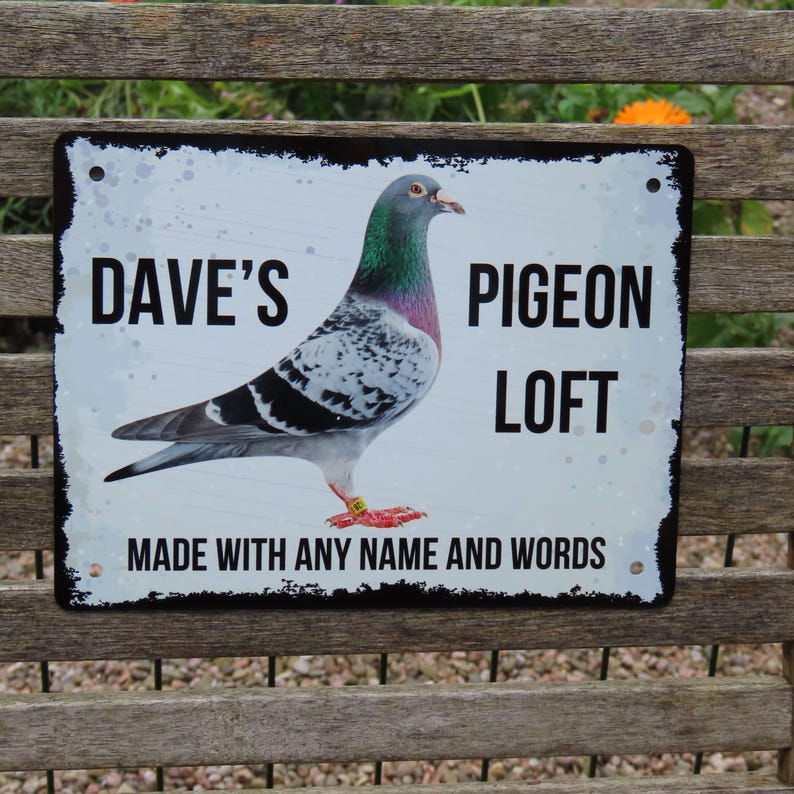 May include: A white metal sign with black text and a picture of a pigeon. The sign says "Dave's Pigeon Loft" and "Made with any name and words".