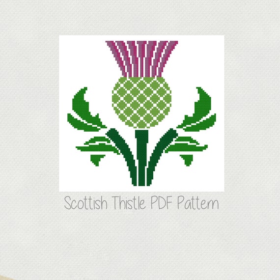 Scottish Thistle Cross Stitch Pattern Purple Thistle Flower Etsy