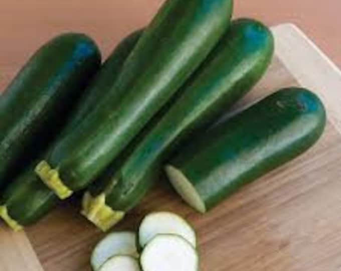 Squash, Dark Green Zucchini, Cucurbirta pepo, 30 Seeds Per Pack, Organic, heirloom, Edible, GMO Free