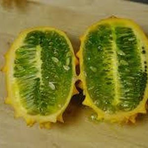 African Horned Melon, Cucumis metuliferus, 20 seeds per pack, Organic, Heirloom, GMO Free, Jelly Melon image 7