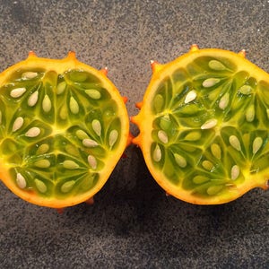 Edible seeds,Melon, African Horned Melon, Cucumis metuliferus, Organic, Heirloom, GMO Free, Jelly Melon image 3