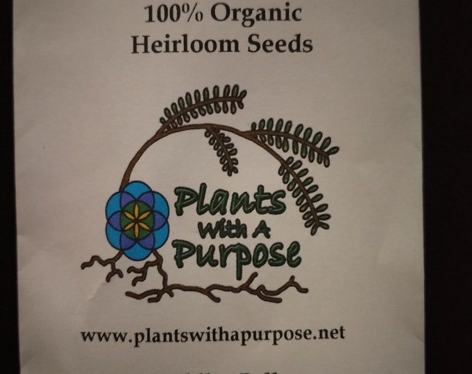 Buddha Belly, Jatropha podagrica, Nettlespurges, 5 Seeds Per Pack, Organic, GMO Free, Buddha Belly Jatropha, Gout Plant