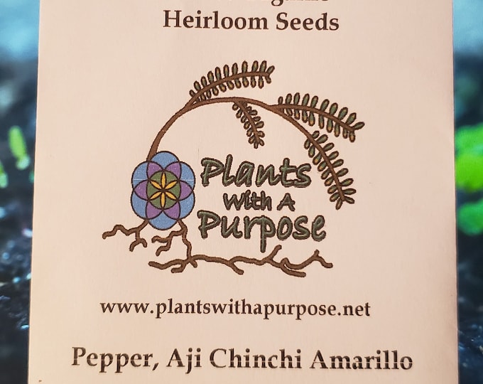 Pepper, Aji Chinchi Amarillo, Capsicum Baccatum Seed Pack, 20 Organic Seeds