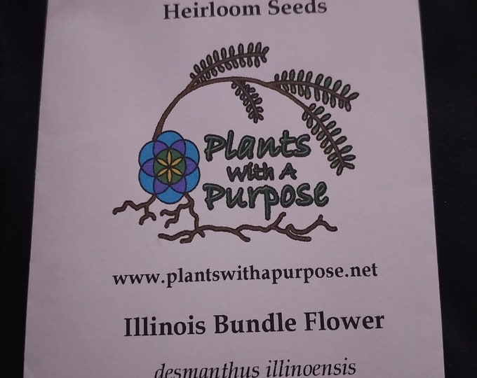 illinois Bundleflower, Desmanthus illinoensis, 100 Seeds Per Pack, Organic, Heirloom, GMO Free