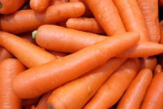 100 Scarlet Nantes Carrot Seeds