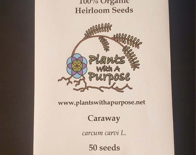 Caraway Seed Pack, Carum carvi L., Organic, 50 Seeds Per Pack