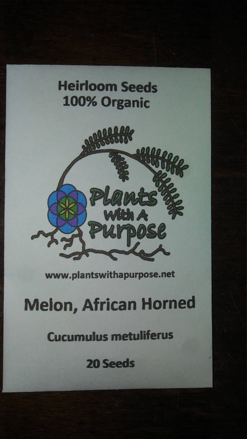 Edible seeds,Melon, African Horned Melon, Cucumis metuliferus, Organic, Heirloom, GMO Free, Jelly Melon image 4