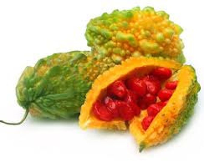 Medicinal Seeds, Bitter Melon, Momordica Charantia, 10 Seeds Per Pack, Organic Seeds, Heirloom seeds, gmo free, organic,