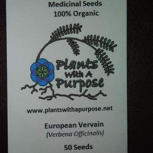 European Vervain, Verbena officinalis, Organic, Medicinal Seeds, 50 seeds per pack, Organic Gardening, European Vervain image 4