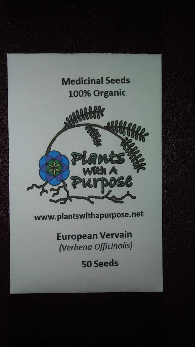 European Vervain, Verbena officinalis, Organic, Medicinal Seeds, 50 seeds per pack, Organic Gardening, European Vervain image 4