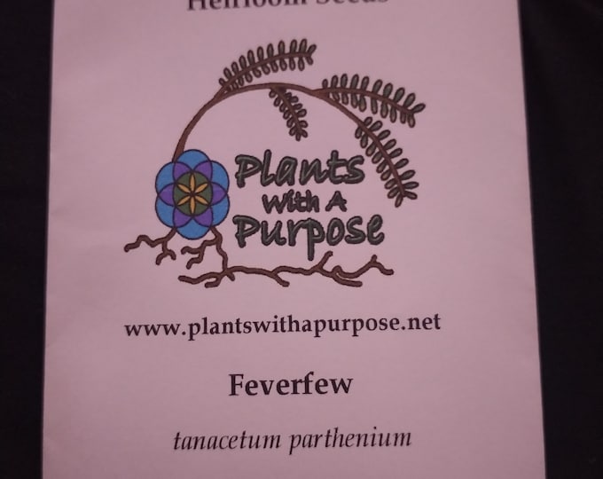 Feverfew, Tanacetum parthenium, 100 Seeds Per Pack, Organic, heirloom, GMO Free,
