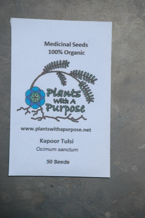 Kapoor Tulsi Rama Tulsi Combo Pack Medicinal Seeds Krishna Vana Organic