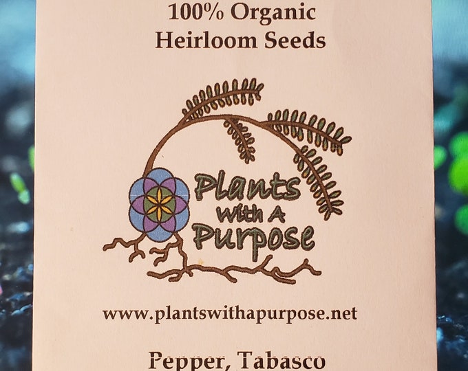 Pepper, Tabasco, Capsicum Frutescens Seed Pack, 20 Organic Seeds