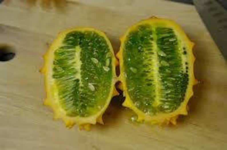 Edible seeds,Melon, African Horned Melon, Cucumis metuliferus, Organic, Heirloom, GMO Free, Jelly Melon image 7