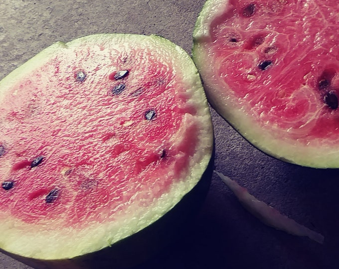 Watermelon, Moon and Stars, Citrullus lanatus, 15 seeds per pack, Organic, Heirloom, GMO Free