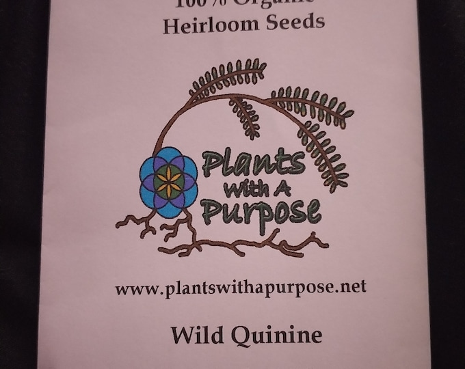 Wild Quinine, Parthenium integrifolium, 100 Seeds Per Pack, Asteraceae, Organic, Heirloom, GMO Free