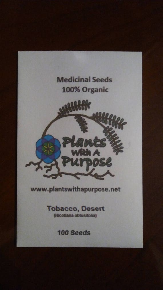 organic tobacco seeds Desert Tobacco, Tobacco, Desert, Nicotiana Obtusifolia, Organic, 100 Seeds  per Pack, GMO Free, Medicinal Seeds, Heirloom