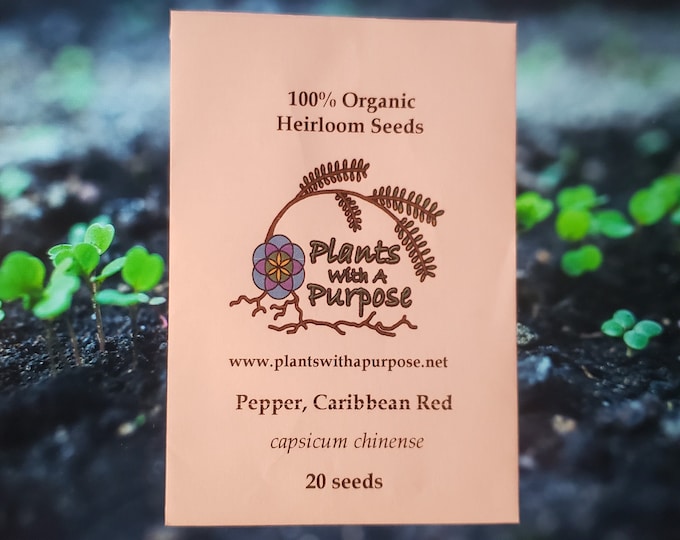 Pepper, Caribbean Red Seed Pack, Capsicum chinense, 20 Seeds, Organic, Heirloom, GMO Free
