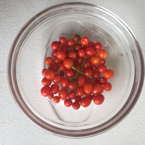 May include: A glass bowl filled with bright red, round pepper berries. The bowl is sitting on a white surface.