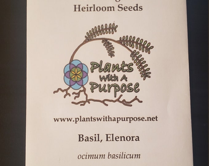 Basil, Eleonora Seed Pack, sweet basil, Ocimum Basilicum var. Eleonora, Lamiaceae, 50 Seeds Per Pack, Organic, Heirloom, GMO Free
