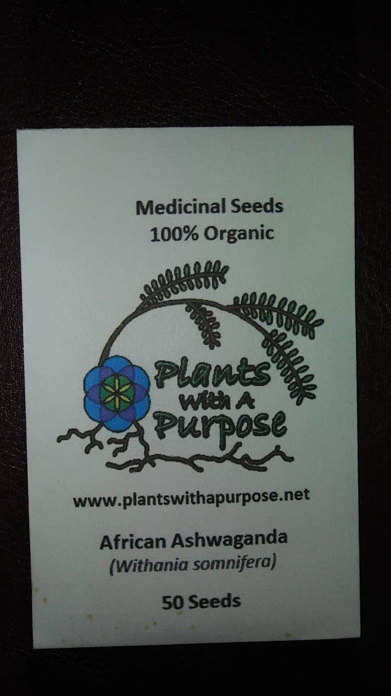 Peut inclure: Une &eacute;tiquette verte et blanche avec un logo repr&eacute;sentant une plante avec une fleur et le texte "Plants With A Purpose". L'&eacute;tiquette comprend &eacute;galement le texte "Medicinal Seeds 100% Organic", "www.plantswithapurpose.net", "African Ashwaganda (Withonia somnifera)" et "50 Seeds".