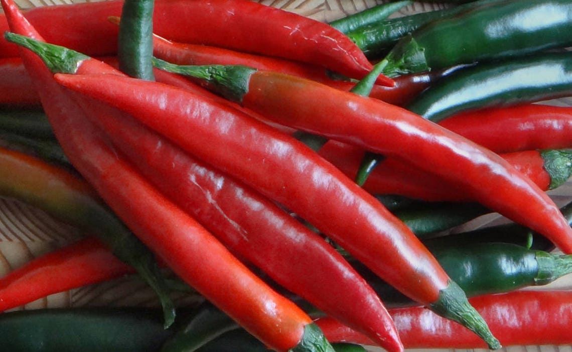 Prik Chi Fa Pepper Capsicum Annum Longum 20 Seeds per Pack Etsy