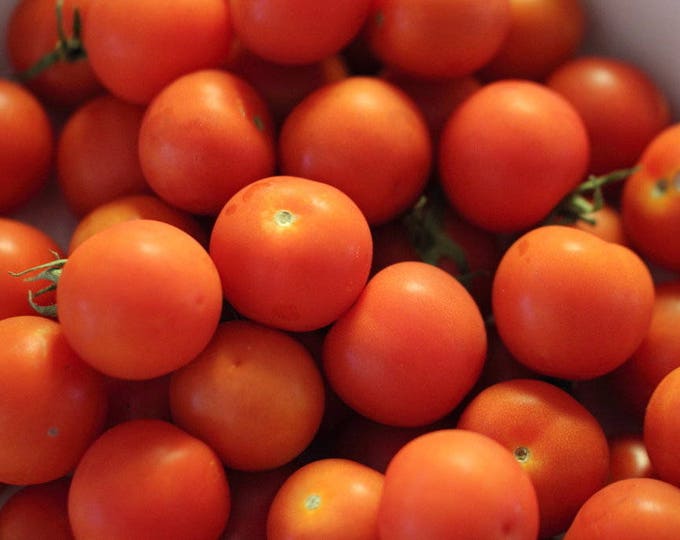 Tomatoes, Tommy Toe, Solanum Lycopersicum, Heirloom Edible Seeds, Organic, 25 Seeds Per Pack, Organic Gardening, GMO Free, Seeds For Sale