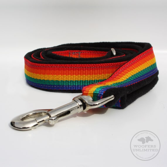 rainbow dog lead