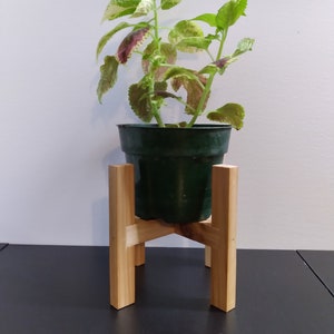 Reclaimed Cedar Plant Stands