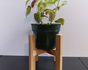 Supports de plantes en cèdre récupéré