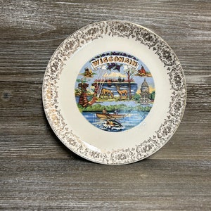Vintage Souvenir Wisconsin Porzellanteller / Mid Century Wanddekor / Vintage Sammler Wandteller