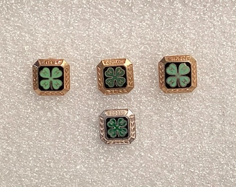 May include: Four gold and silver pins with a green four-leaf clover design. The pins say "First", "Second", "Third", and "Fourth" around the clover.