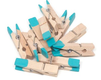10 Mini clothespin, Mini Clothes Pin,Mint,Aqua,Blue Clothespin,Colored Clothespin